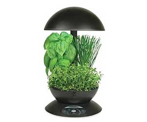 Garden Gadgets